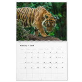 Big Cats Art Calendar Snow Leopard Jaguar Tigers Kalender (Feb 2026)