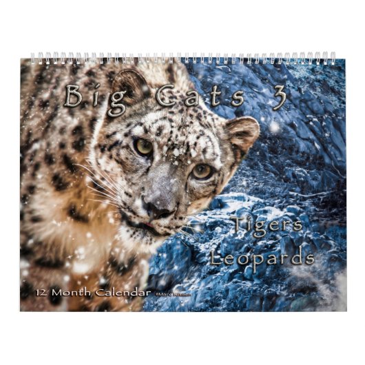Big Cats Art Calendar Snow Leopard Jaguar Tigers Kalender (Hoes)