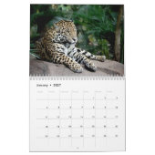 Big Cats bij Chester Zoo Calendar Kalender (Jan 2027)
