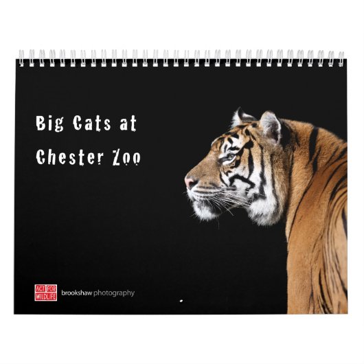 Big Cats bij Chester Zoo Calendar Kalender (Hoes)
