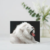 Big Cats Briefkaart (Staand voorkant)