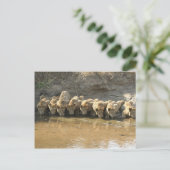 Big Cats Briefkaart (Staand voorkant)