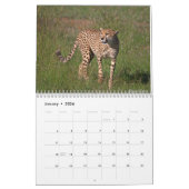 Big Cats Calendar 2023 Kalender (Jan 2026)