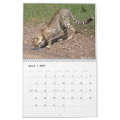 Big Cats Calendar 2023 Kalender (Mar 2027)