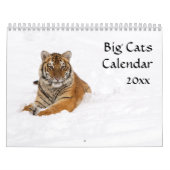 Big Cats Calendar Kalender (Hoes)