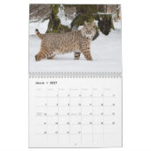 Big Cats Calendar Kalender (Mar 2027)