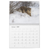 Big Cats Calendar Kalender (Jan 2027)