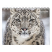 Big Cats Kalender (Hoes)