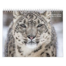 Big Cats Kalender