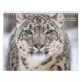 Big Cats Kalender
