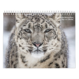 Big Cats Kalender