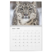 Big Cats Kalender (Mar 2027)