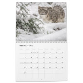 Big Cats Kalender (Feb 2027)