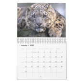 Big Cats Kalender 2025 (Feb 2027)