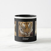 Big Cats Mok (Midden)