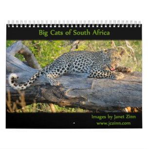 Big Cats of South Africa Calendar Kalender