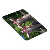 Big Cats Premium Flexi Magnet Magneet (Rechterzijde)