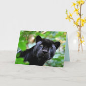 Big Cats Set - 4 Kaart (Gele Bloem)