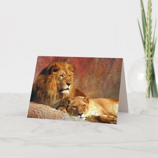 Big Cats Set - 6 Kaart (Voorkant)