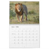 Big Cats van de Masai Mara, Kenya Calendar Kalender (Mar 2026)