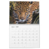 BIG CATS WILDLIFE ART CALENDAR KALENDER (Mar 2027)