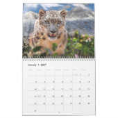 BIG CATS WILDLIFE ART CALENDAR KALENDER (Jan 2027)