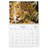 Big Cats Wildlife Kalender 2021 (Jan 2027)