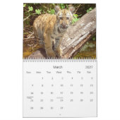Big Cats Wildlife Kalender 2021 (Mar 2027)