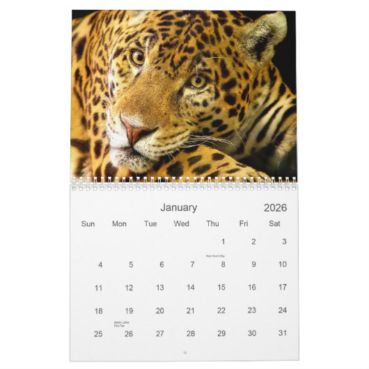 Big Cats Wildlife Kalender 2021 (Jan 2026)