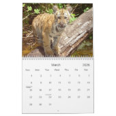 Big Cats Wildlife Kalender 2021 (Mar 2026)