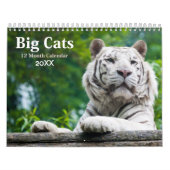 Big Cats Wildlife Kalender 2021 (Hoes)