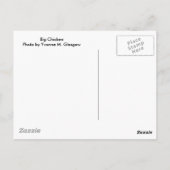 Big Chicken Briefkaart (Achterkant)