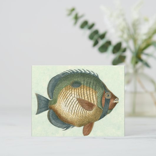 Big Colorful Fish Briefkaart (Staand voorkant)