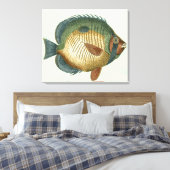 Big Colorful Fish Canvas Afdruk (Insitu (Slaapkamer))
