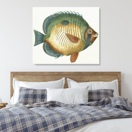 Big Colorful Fish Canvas Afdruk (Insitu (Slaapkamer))