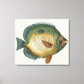 Big Colorful Fish Canvas Afdruk (Voorkant)