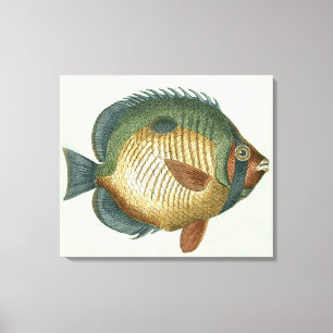 Big Colorful Fish Canvas Afdruk