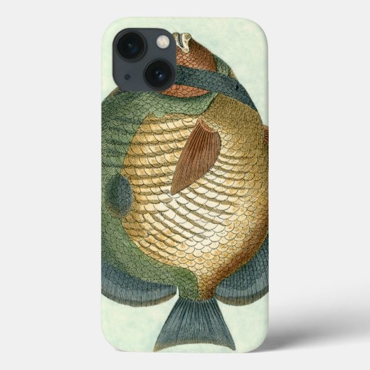 Big Colorful Fish Case-Mate iPhone Case (Achterkant)