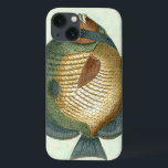 Big Colorful Fish iPhone 13 Hoesje<br><div class="desc">Haal dit unieke afbeelding van een grote kleurrijke vis op je volgende product. Deze geweldige kunstfoto van een groene,  oranje,  donkerblauwe en gele vis ziet er overal geweldig uit. Neem dit zee-geïnspireerde afbeelding met je mee,  overal waar je gaat.</div>