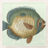 Big Colorful Fish Glazen Onderzetter (Voorkant)