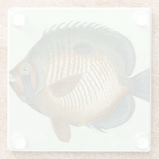 Big Colorful Fish Glazen Onderzetter (Achterkant)