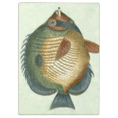 Big Colorful Fish Klembord (Achterkant)