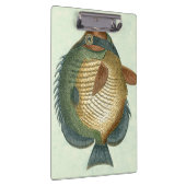 Big Colorful Fish Klembord (Rechts)