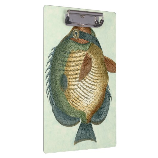 Big Colorful Fish Klembord (Rechts)