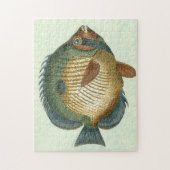 Big Colorful Fish Legpuzzel (Verticaal)