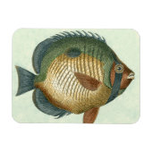 Big Colorful Fish Magneet (Horizontaal)