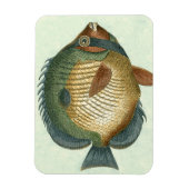 Big Colorful Fish Magneet (Verticaal)