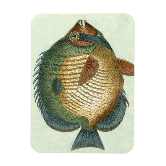 Big Colorful Fish Magneet (Verticaal)