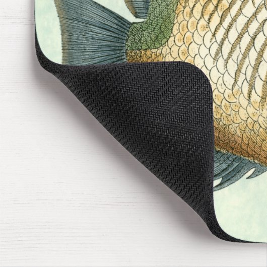 Big Colorful Fish Muismat (Hoek)