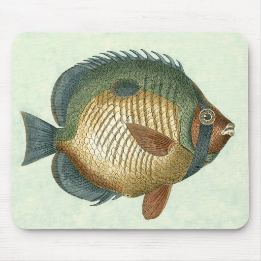 Big Colorful Fish Muismat (Voorkant)